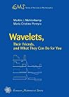 Wavelets, Their Friends, and What They Can Do for You (Ems Series of Lectures in Mathematics) Wavelets, Their Friends, and What They Can Do for You (Ems Series of Lectures in Mathematics)