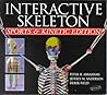 Interactive Skeleton: Sports and Kinetic Edition