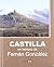 Castilla En Tiempos de Fernan Gonzalez (Coleccion Dossoles Historia) (Spanish Edition)