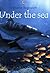Under the Sea (Usborne Beginners)