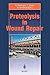 Proteolysis in Wound Repair