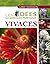 Vivaces