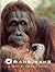Orangutans: Wizards of the Rain Forest