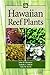 Hawaiian Reef Plants
