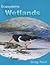 Wetlands by Greg Reid