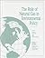The Role of natural gas in ...