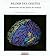 Bilder des Geistes by Michael I. Posner