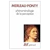 Phenomenologie de...