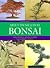 Arte y técnica en el bonsai (Spanish Edition)
