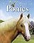 My Best Book of Ponies