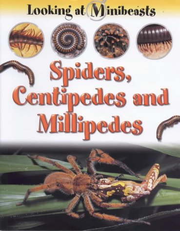 Spiders, Centipedes and Millepedes (Looking at Minibeasts)