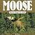 Moose Magic for Kids