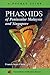 Phasmids of Peninsular Malaysia and Singapore: A Pocket Guide