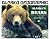 Alaska's Bears