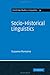 Socio-Historical Linguistics: Its Status and Methodology (Cambridge Studies in Linguistics, Series Number 34)
