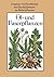Öl- und Faserpflanzen (Diagnose von Krankheiten und Beschädig... by Dieter Spaar