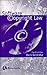 Software Copyright Law