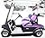 The Purple Golf Cart: Stories of an Unconventional Grandma