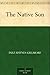 The Native Son by Inez Haynes Gillmore