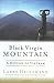 Black Virgin Mountain by Larry Heinemann