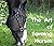 Learn How to Train Horses & Horse Training Tips by Mike Weston