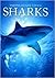 Sharks (Snapshot Picture Library Series)