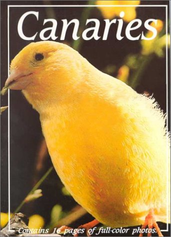 Canaries (Paperback)