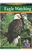 Eagle Watching (Wildlife Watching.)