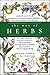 The Way of Herbs by Michael Tierra