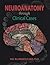 Neuroanatomy Through Clinic...