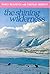 The Shining Wilderness: Daily Readings with Thomas Merton (Modern Spirituality Series)
