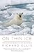 On Thin Ice