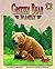Grizzly Bear Family (Amazing Animal Adventures)