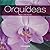 Orquideas by Maria Julia Freuler