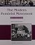 The Modern Feminist Movement: Sisters Under the Skin, 1961-1979 (A Cultural History of Women in America)