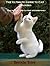 The Ultimate Guide to Cat Training -- How to Train Your Cat Fast and Effectively
