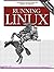 Running Linux