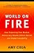 World on Fire by Amy  Chua