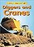 Diggers and Cranes (My World)