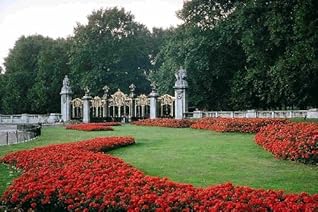 Home Gardening & Gardening Design Basics