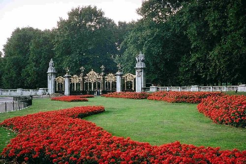 Home Gardening & Gardening Design Basics (Kindle Edition)