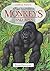 A Visual Introduction to Monkeys and Apes (Animal Watch)