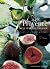 Die Provence, wie wir sie lieben. Rezepte von Jacques Chibois... by Louisa Jones