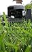 Lawn Care for Beginners: Ho...