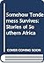 Somehow Tenderness Survives: Stories of Southern Africa