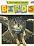 A First Look at Animals: Birds (A First Look at Animals)