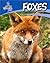 Foxes (British Wildlife)