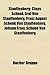 Stauffenberg: Claus Schenk Graf Von Stauffenberg, Franz August Schenk Von Stauffenberg, Johann Franz Schenk Von Stauffenberg
