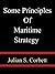 Some Principles Of Maritime Strategy - Julian S. Corbett by Julian Stafford Corbett