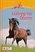 Galopp im Sturm (Reiterhof ...